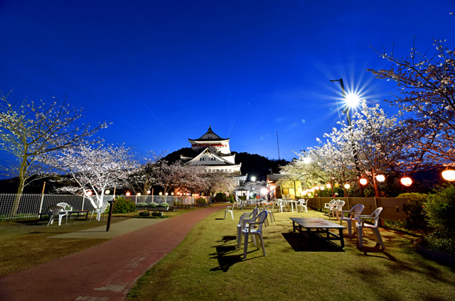 熱海城の夜桜ライトアップ