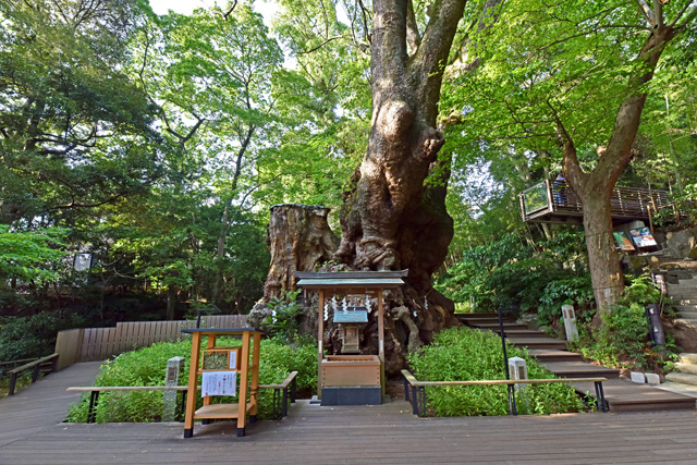 来宮神社